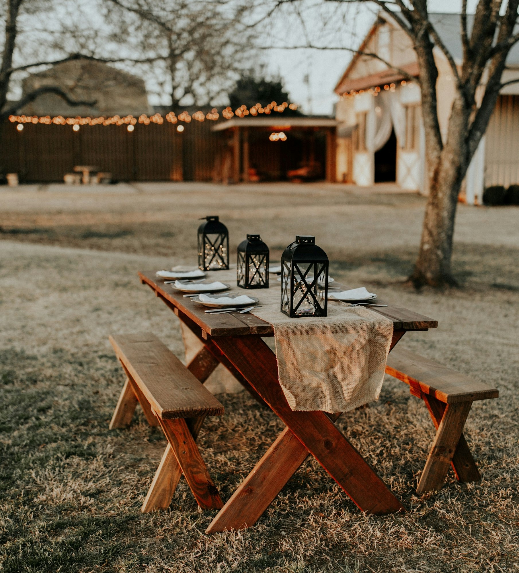 May contain: furniture, ground, tree, plant, and table