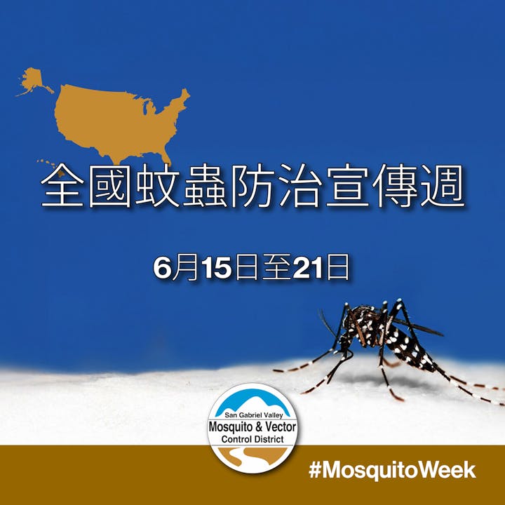 Map of U.S., mosquito image, Chinese text for "National Mosquito Control Awareness Week," dates June 15-21, hashtag #MosquitoWeek.