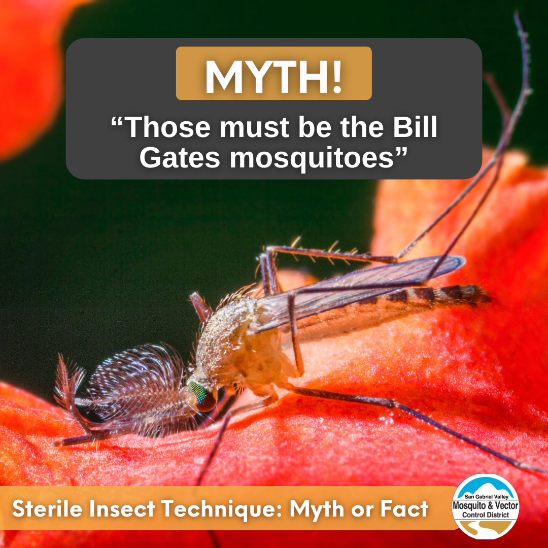 The image debunks a myth about "Bill Gates mosquitoes" and discusses the Sterile Insect Technique in mosquito control.