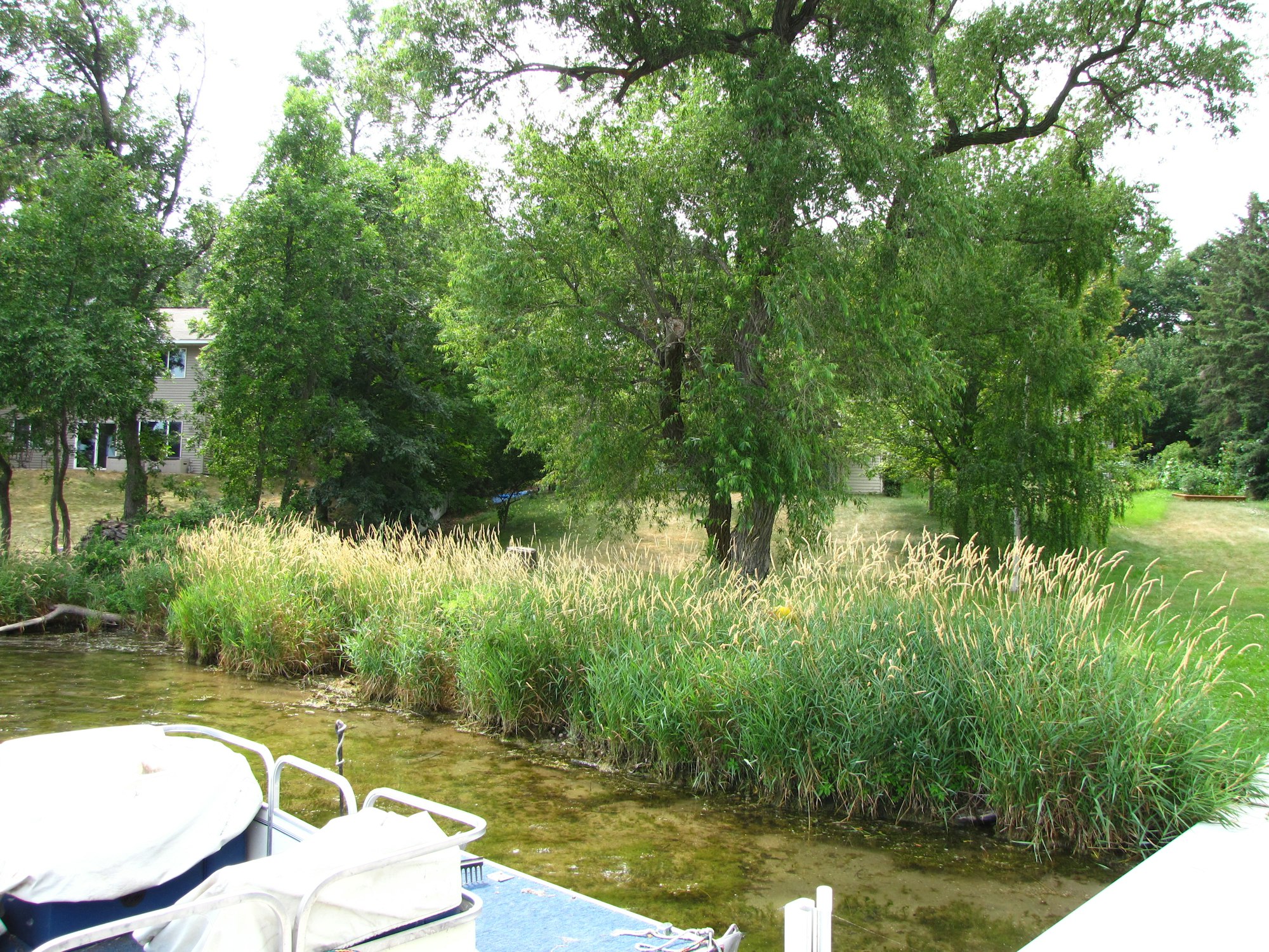May contain: grass, plant, vegetation, nature, outdoors, pond, water, land, tree, scenery, and woodland