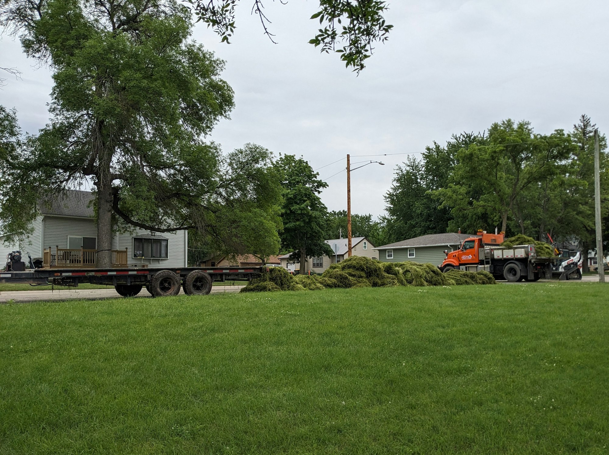 A flatbed trailer, piles of harvested curly leaf pondweed, a truck, and a skid steer loader on a residential street.