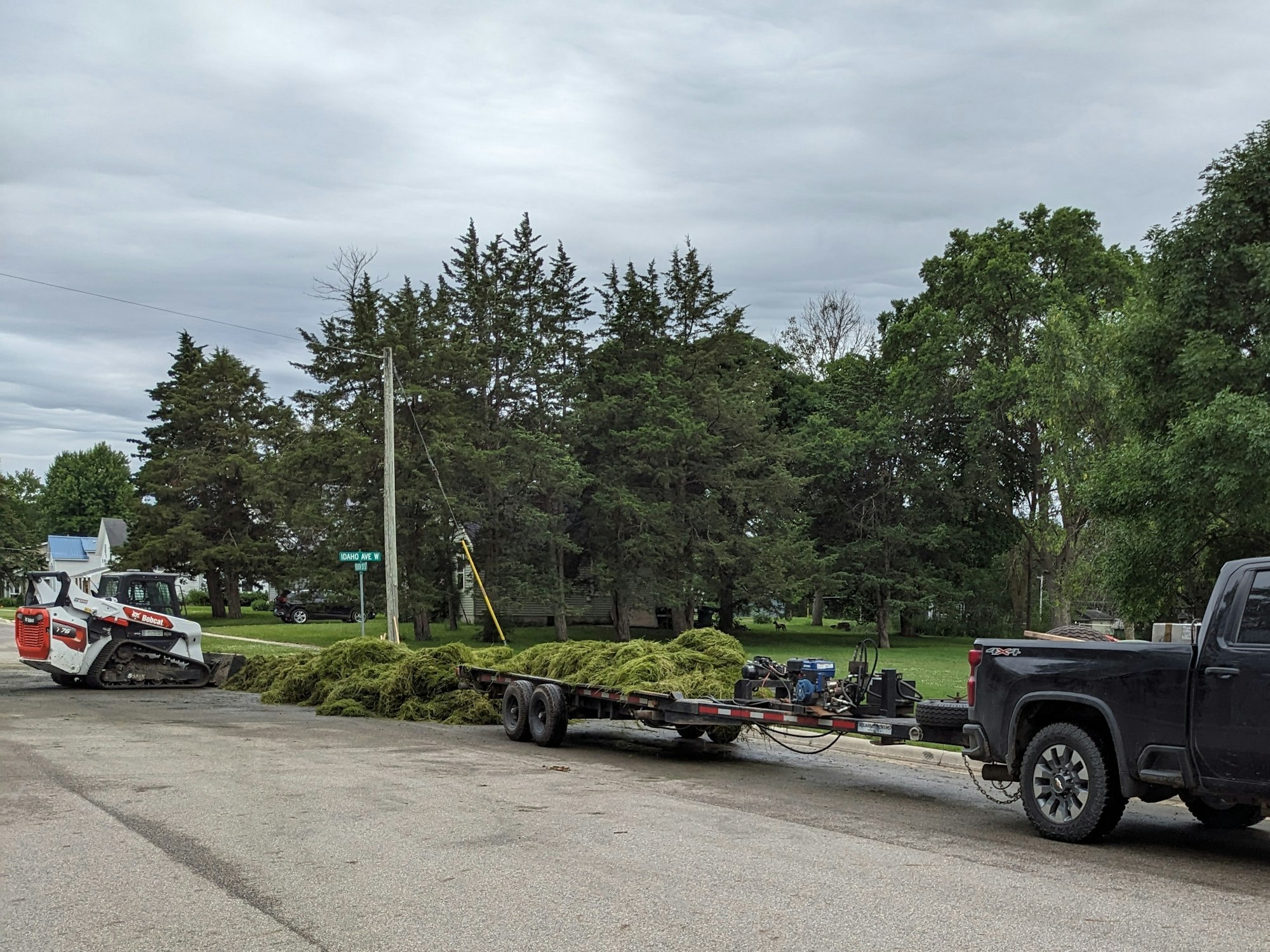 An outdoor scene with a skid steer loader, grass clippings on a trailer, a pickup truck, and trees in the background.