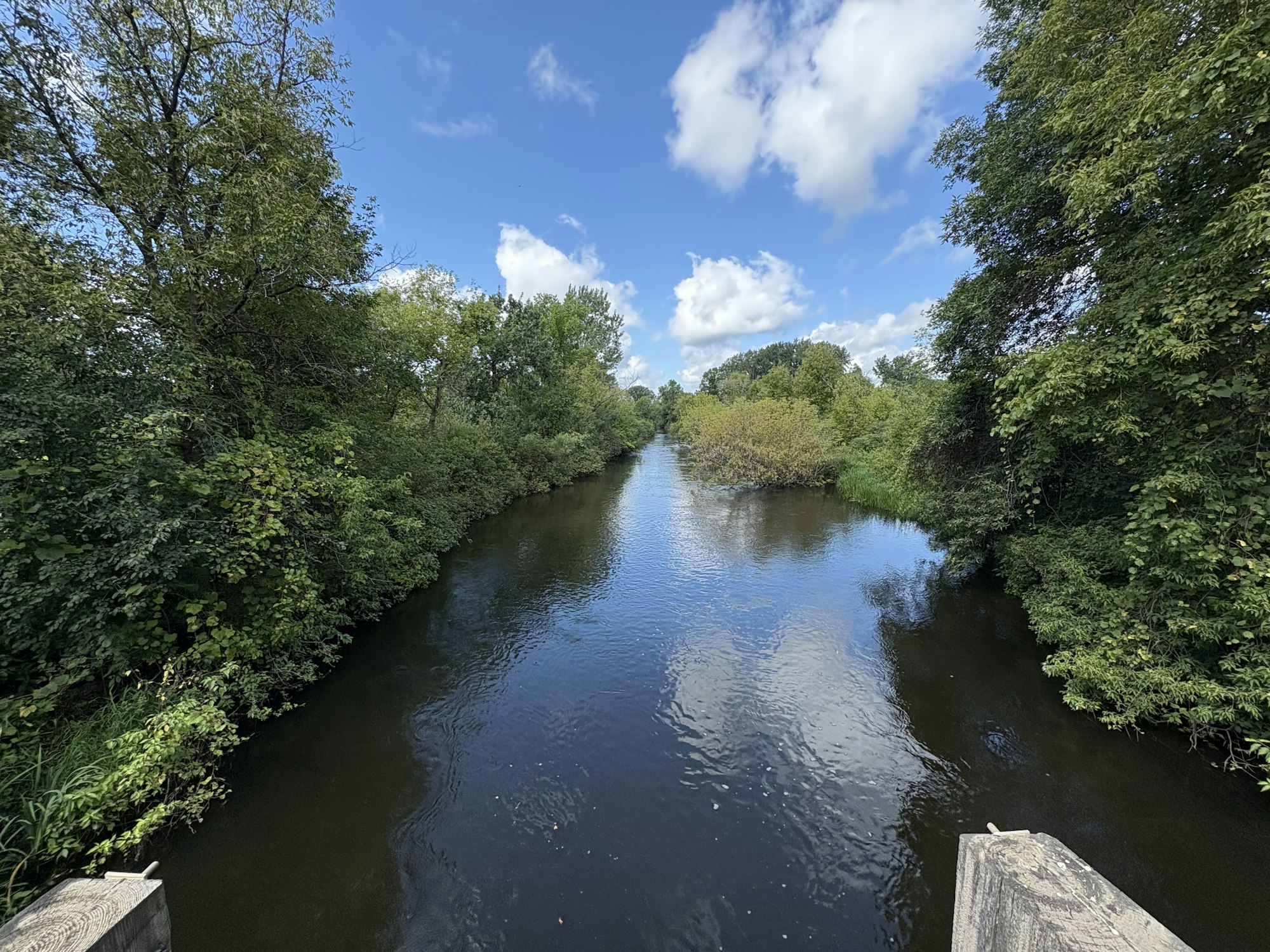 Sampling site on Manannah River.