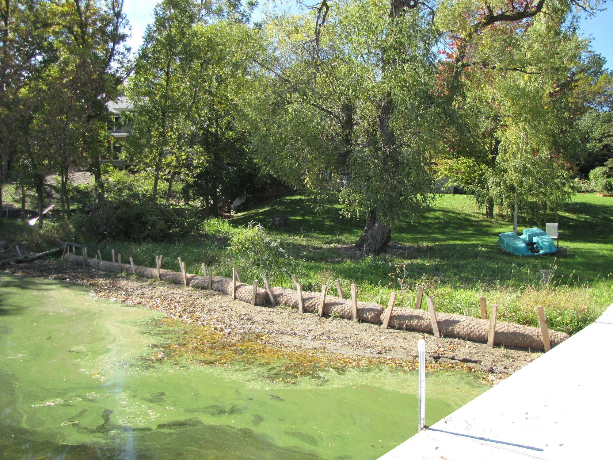 May contain: nature, outdoors, pond, water, grass, plant, tree, scenery, land, park, tree trunk, and canal