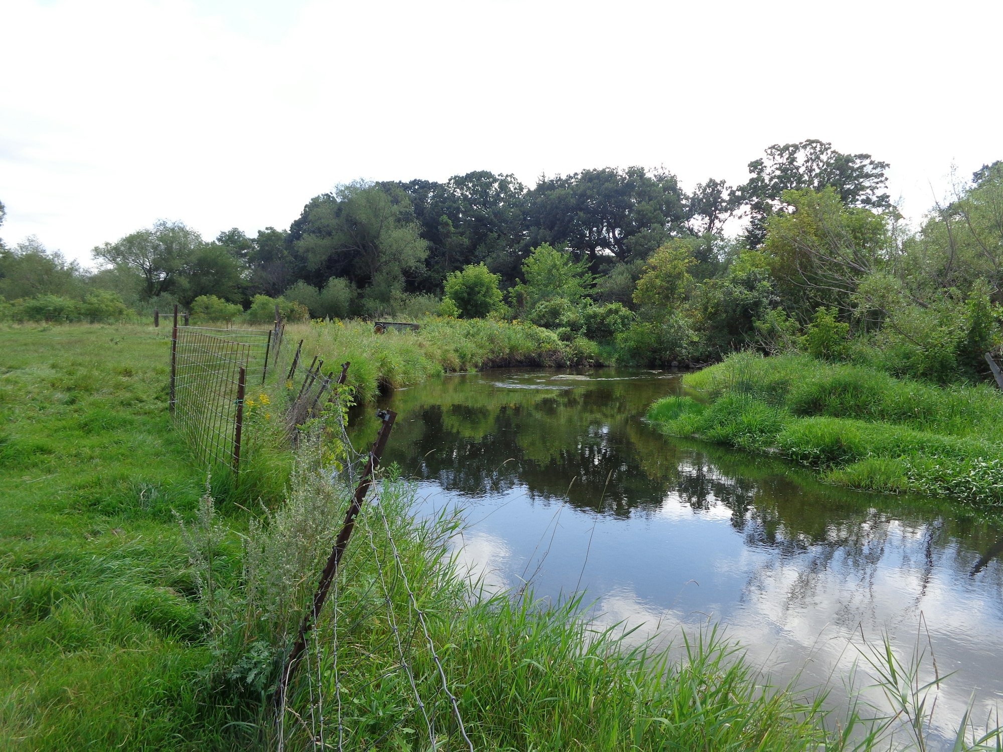 May contain: nature, outdoors, pond, water, land, field, grassland, and swamp