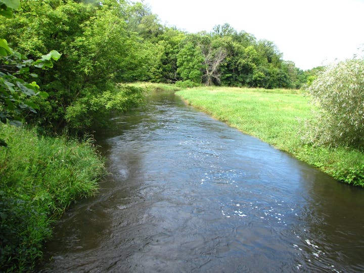 May contain: outdoors, canal, water, ditch, nature, plant, vegetation, creek, and stream