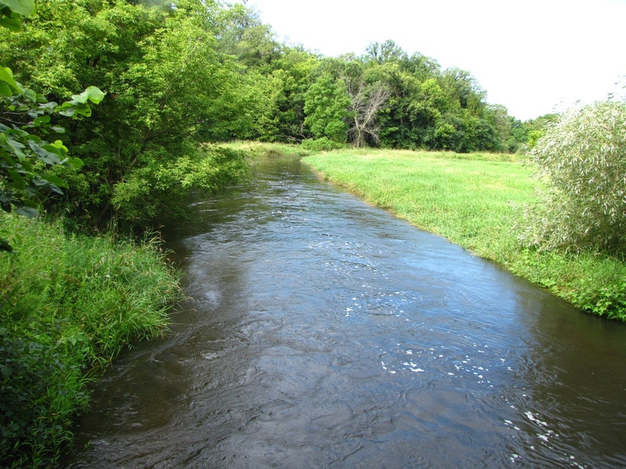 May contain: outdoors, canal, water, ditch, nature, plant, vegetation, creek, and stream