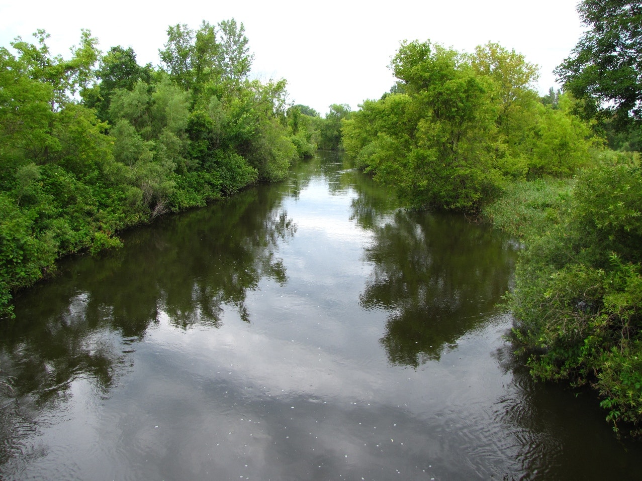 May contain: canal, outdoors, water, nature, pond, land, plant, vegetation, and swamp