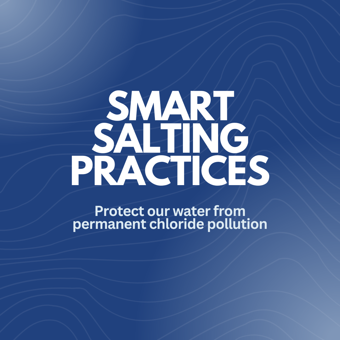 The image promotes smart salting practices to protect water from permanent chloride pollution.