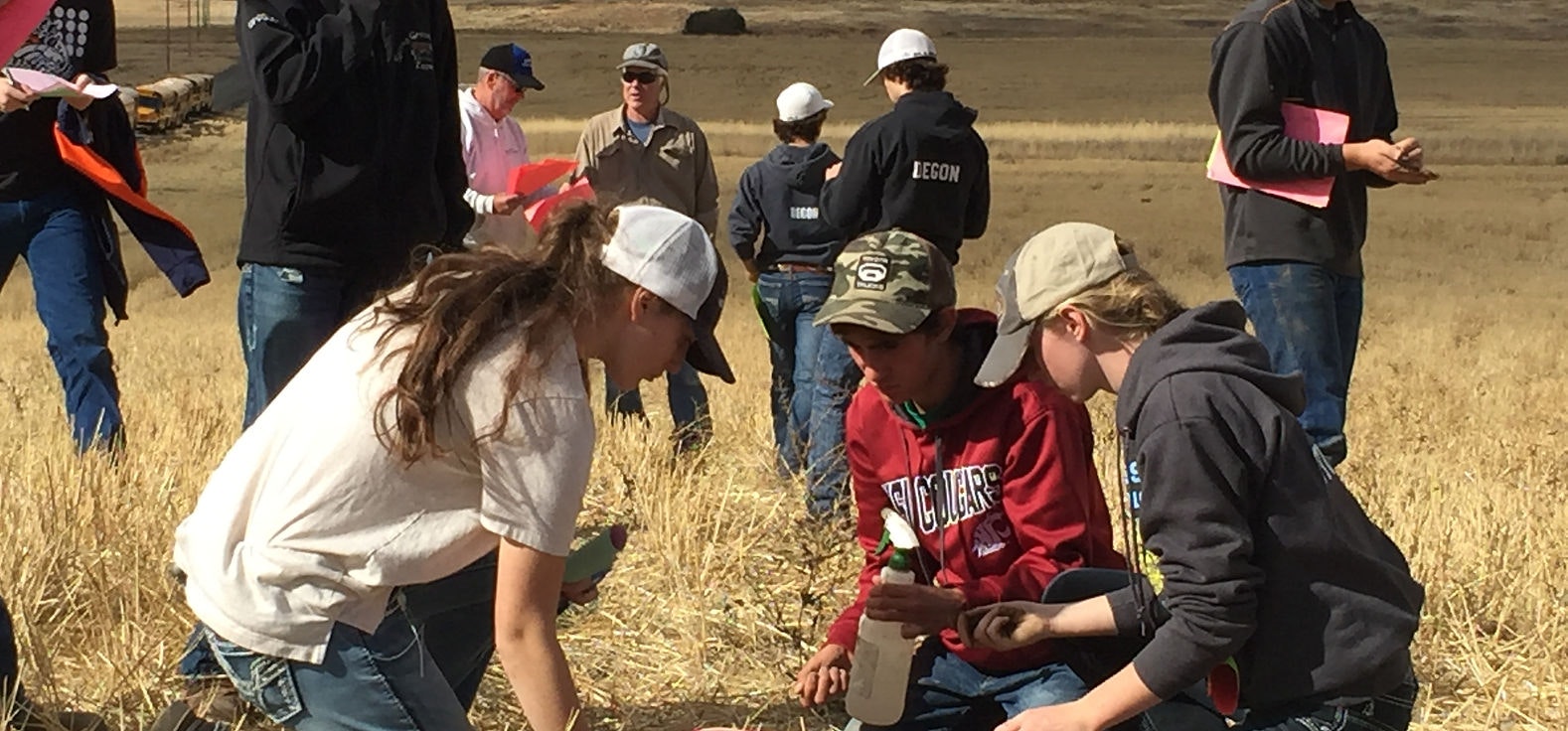 People gathering in a field, some kneeling and examining the ground; others standing with notepads.