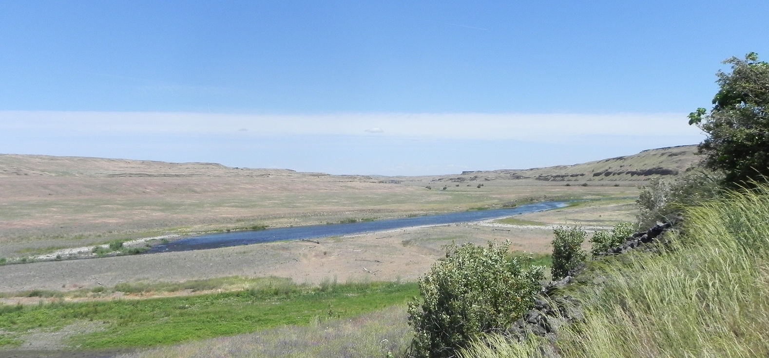 A river flowing through a vast open landscape with grass and shrubs under a clear blue sky.