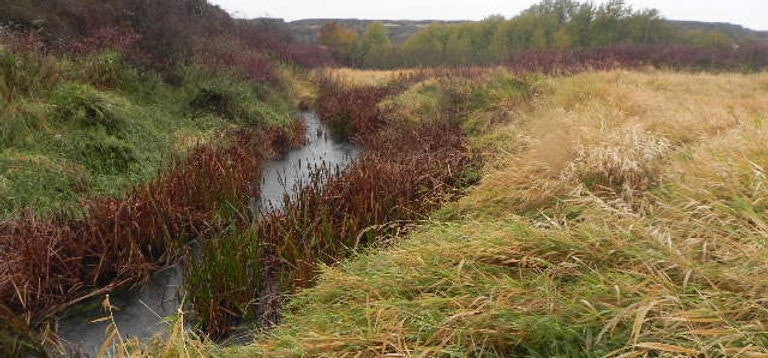 Cow Creek