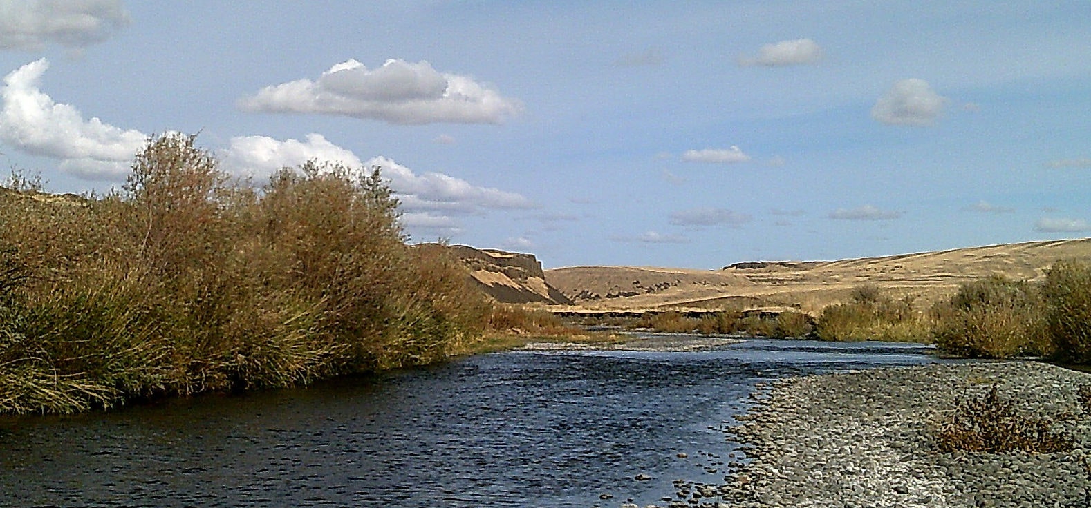 A river flows through a landscape with shrubs and distant hills under a blue, partly cloudy sky.