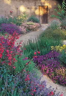 A winding garden path lined with colorful flowers and greenery, leading to a wooden door on an earthen wall.