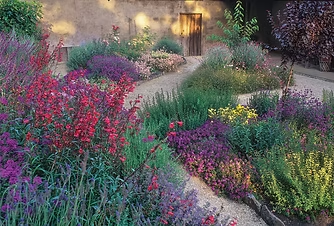 Colorful garden with diverse flowers and plants along curving paths, set against a rustic wall with a wooden door.