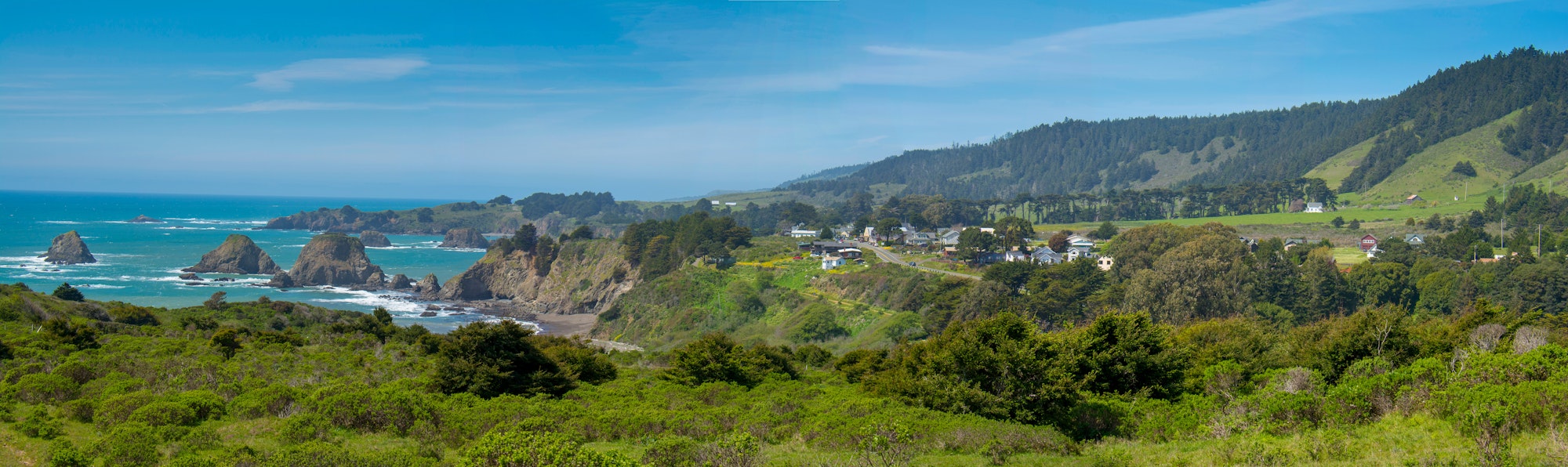 May contain: nature, outdoors, scenery, promontory, water, sea, land, landscape, fir, plant, tree, shoreline, and coast