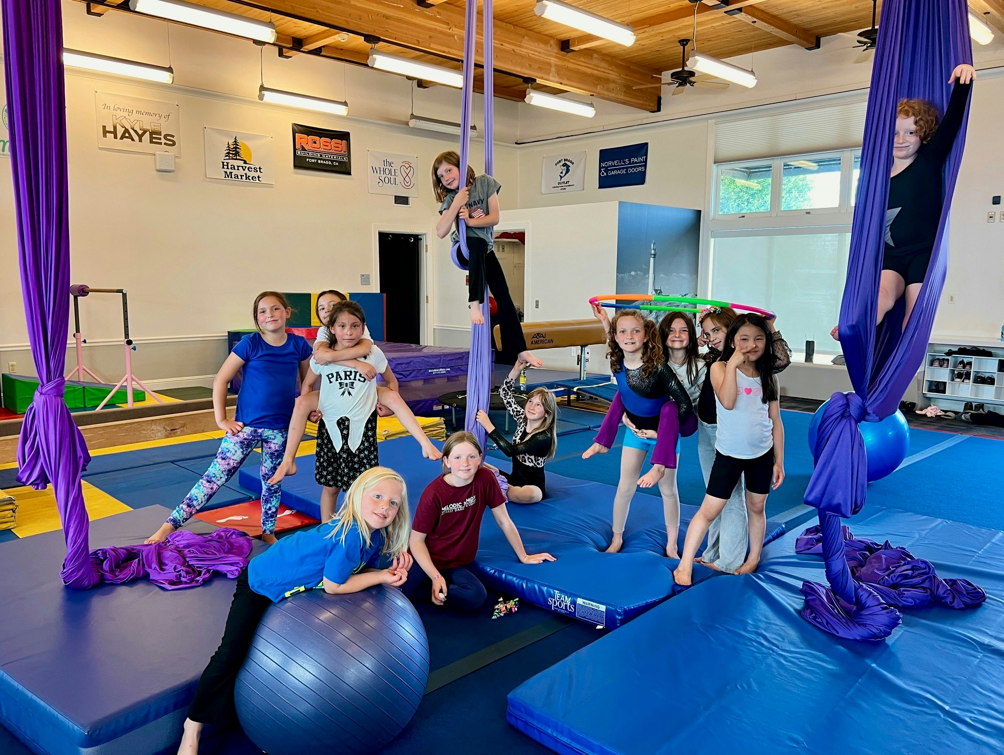 Children in a gym with aerial silks, mats, and exercise balls, posing and playing.