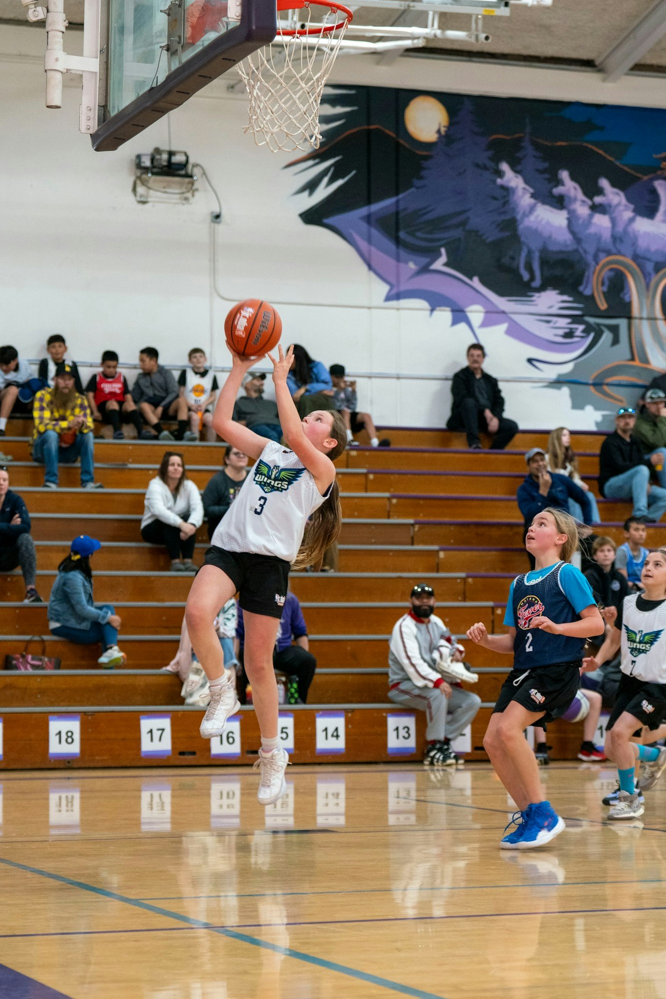 A youth basketball game, a player shoots the ball towards the hoop as others and spectators watch in a gymnasium.