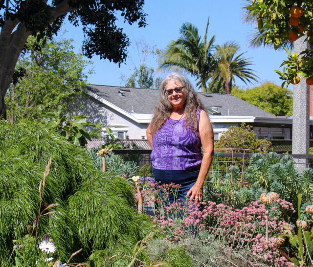 A woman in a purple top standing in a lush garden with various plants and trees, under a bright blue sky.