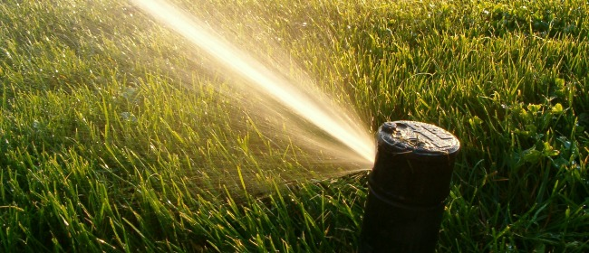 Photo of a sprinkler and grass