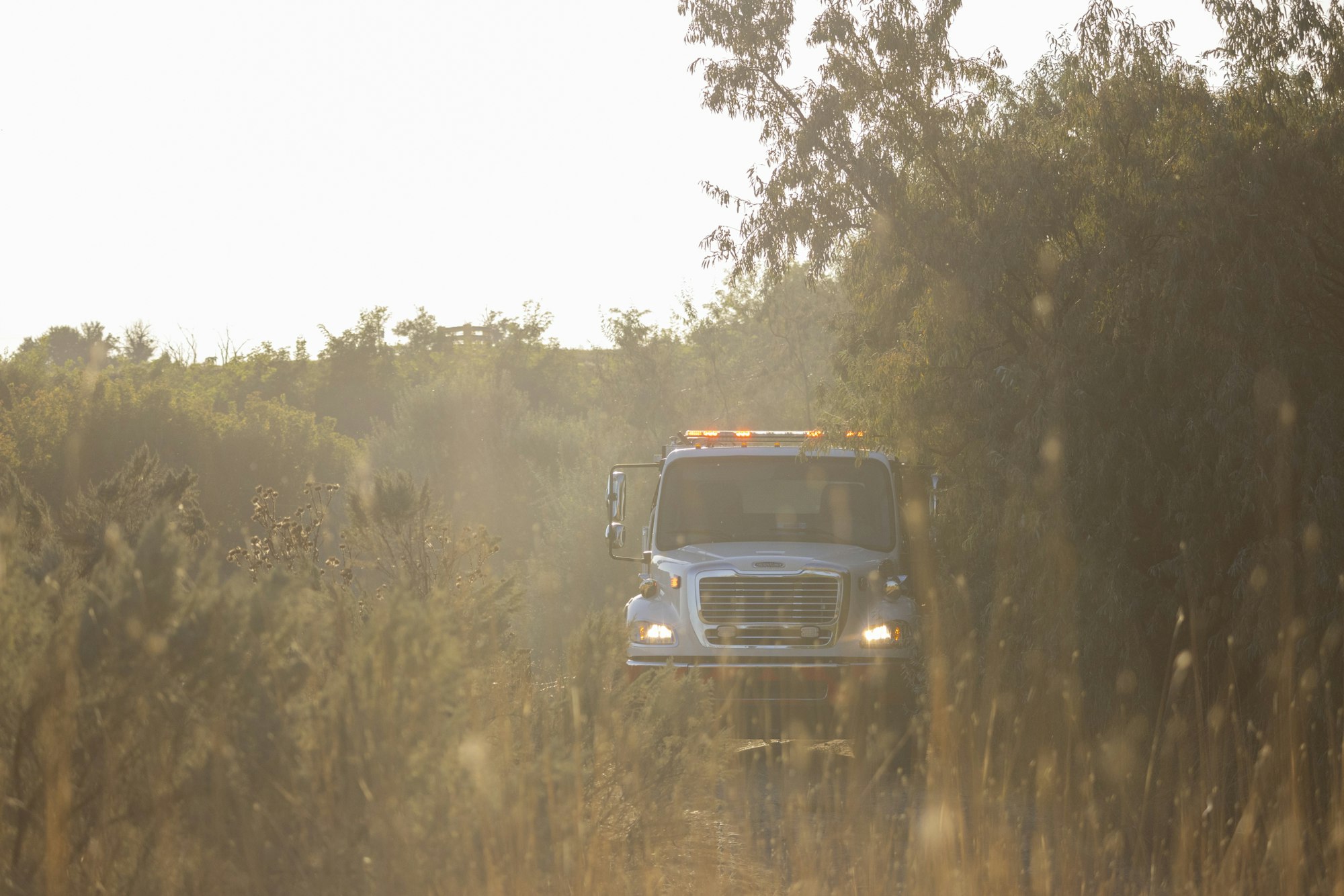 A truck with a light bar is driving through a dirt road surrounded by trees and grass, with sunlight casting over it.