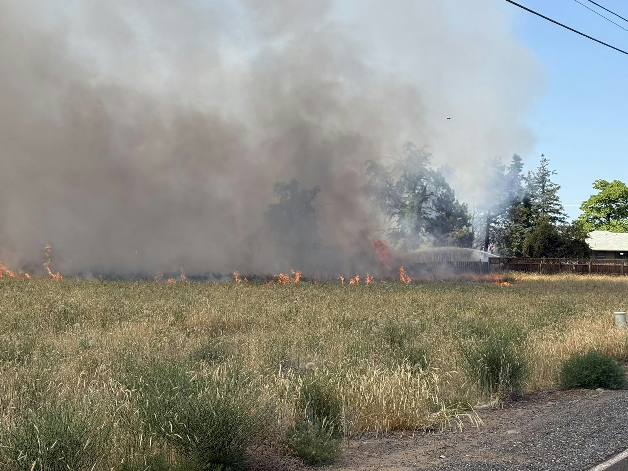 Grass fire in a field with smoke rising and trees in the background.