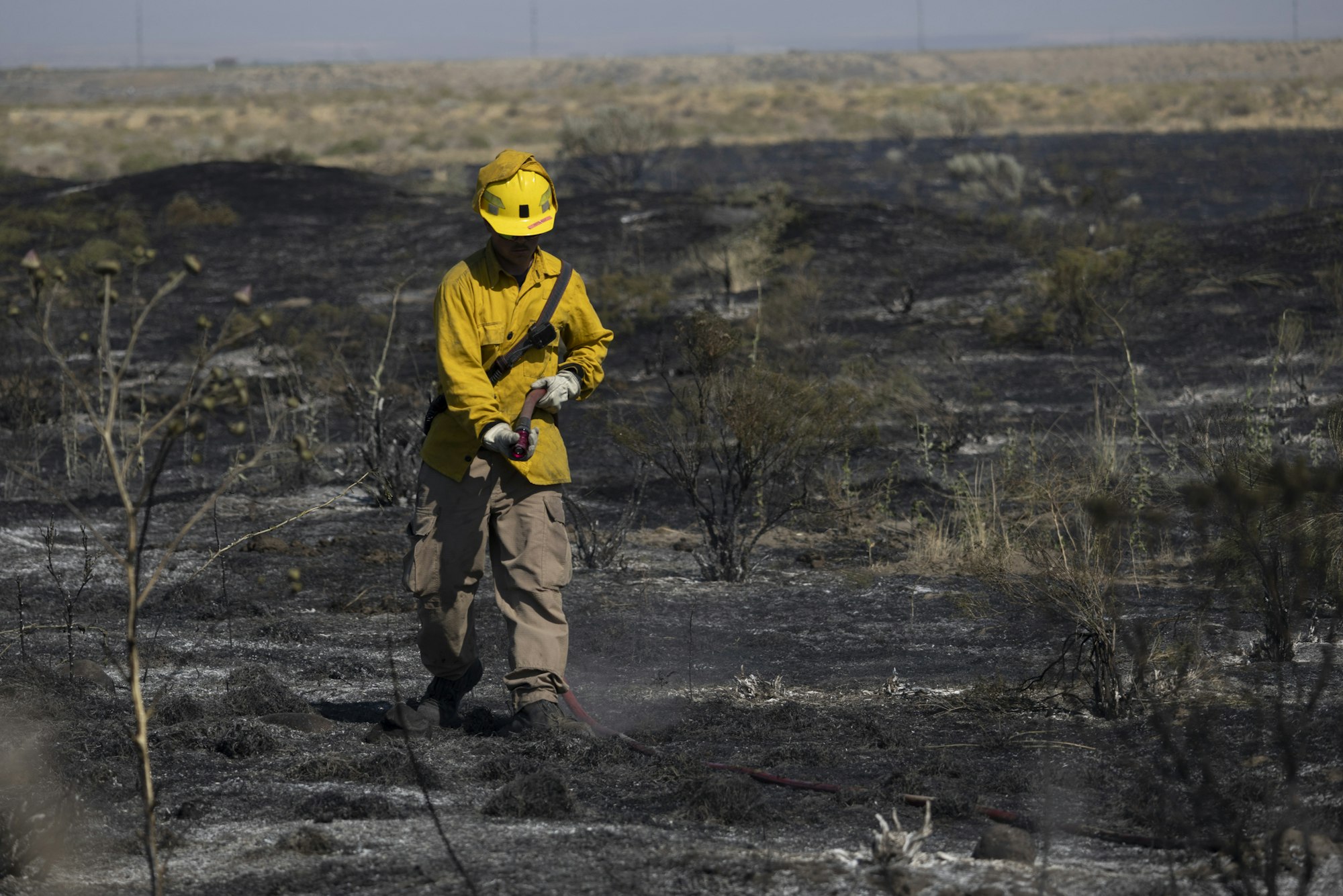 Firefighter in yellow gear with a helmet, spraying water on a burnt, charred landscape.