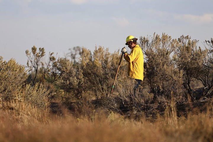 A person in a yellow jacket and helmet works among shrubs, using a tool in a field with a cloudy sky.