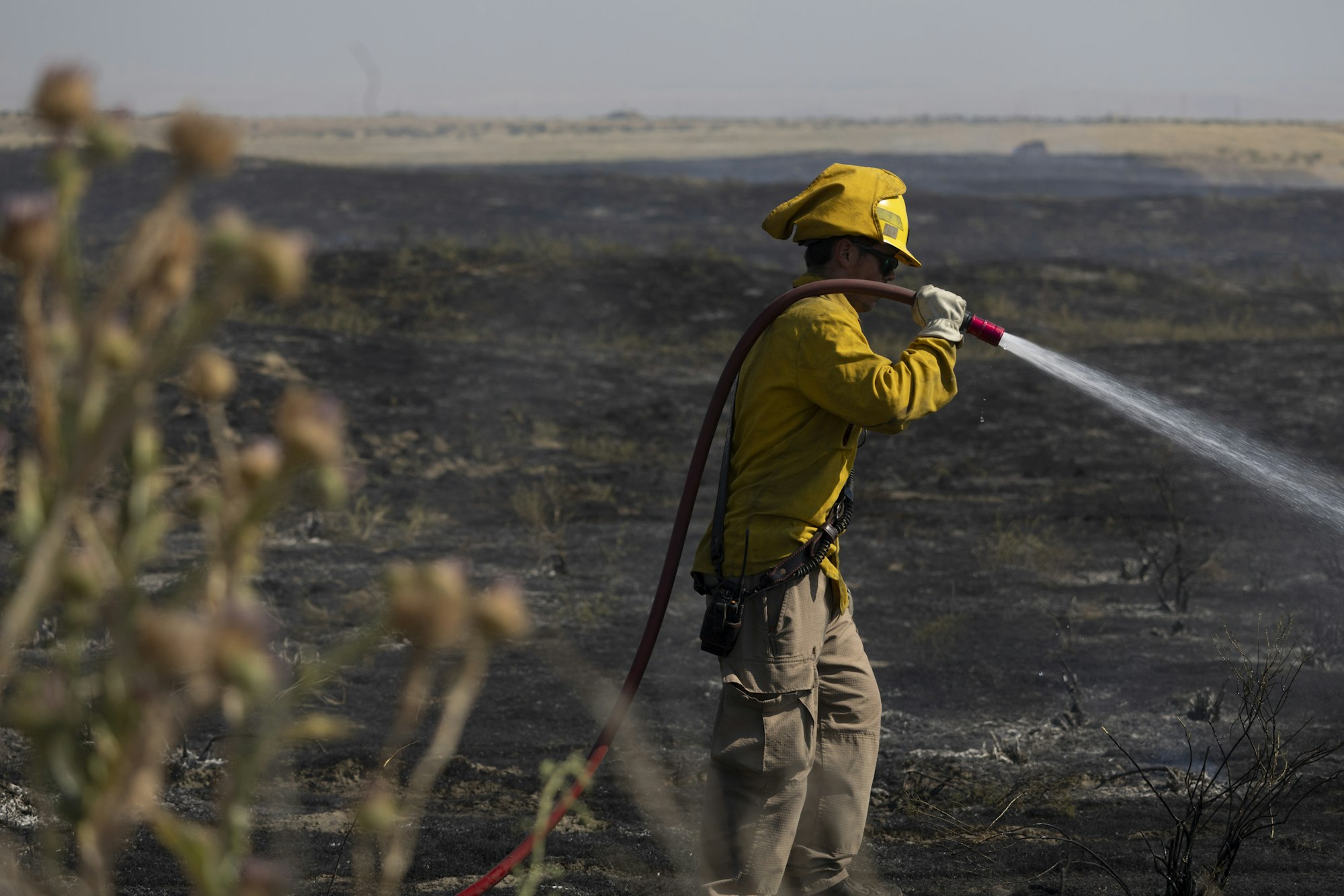 A firefighter in yellow gear sprays water in a burnt field.