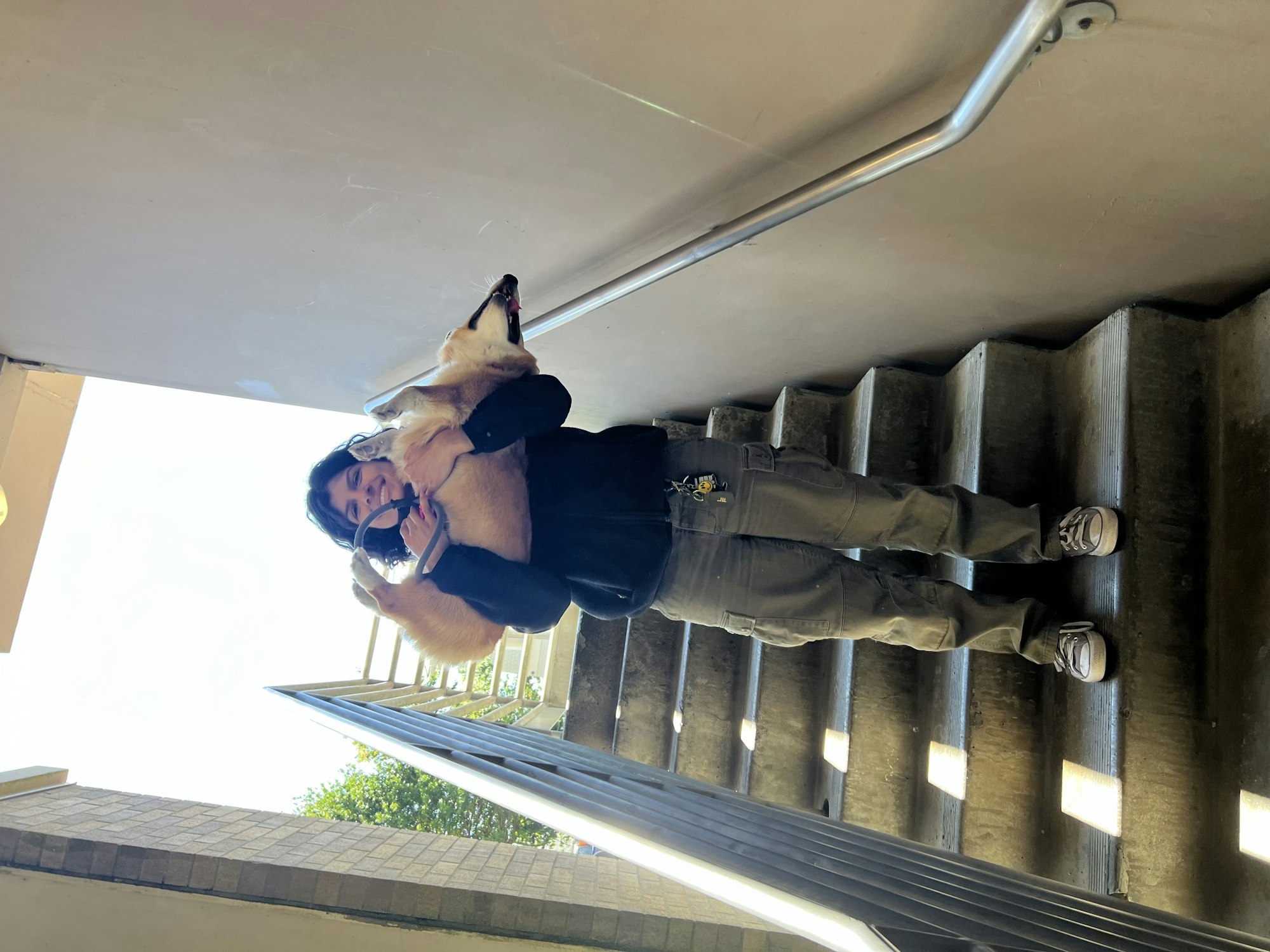 A person is holding a large dog while standing on a staircase.