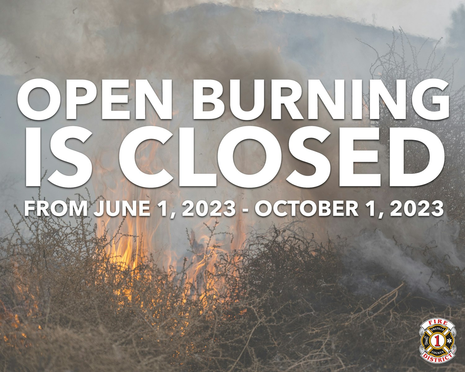 burn pile
