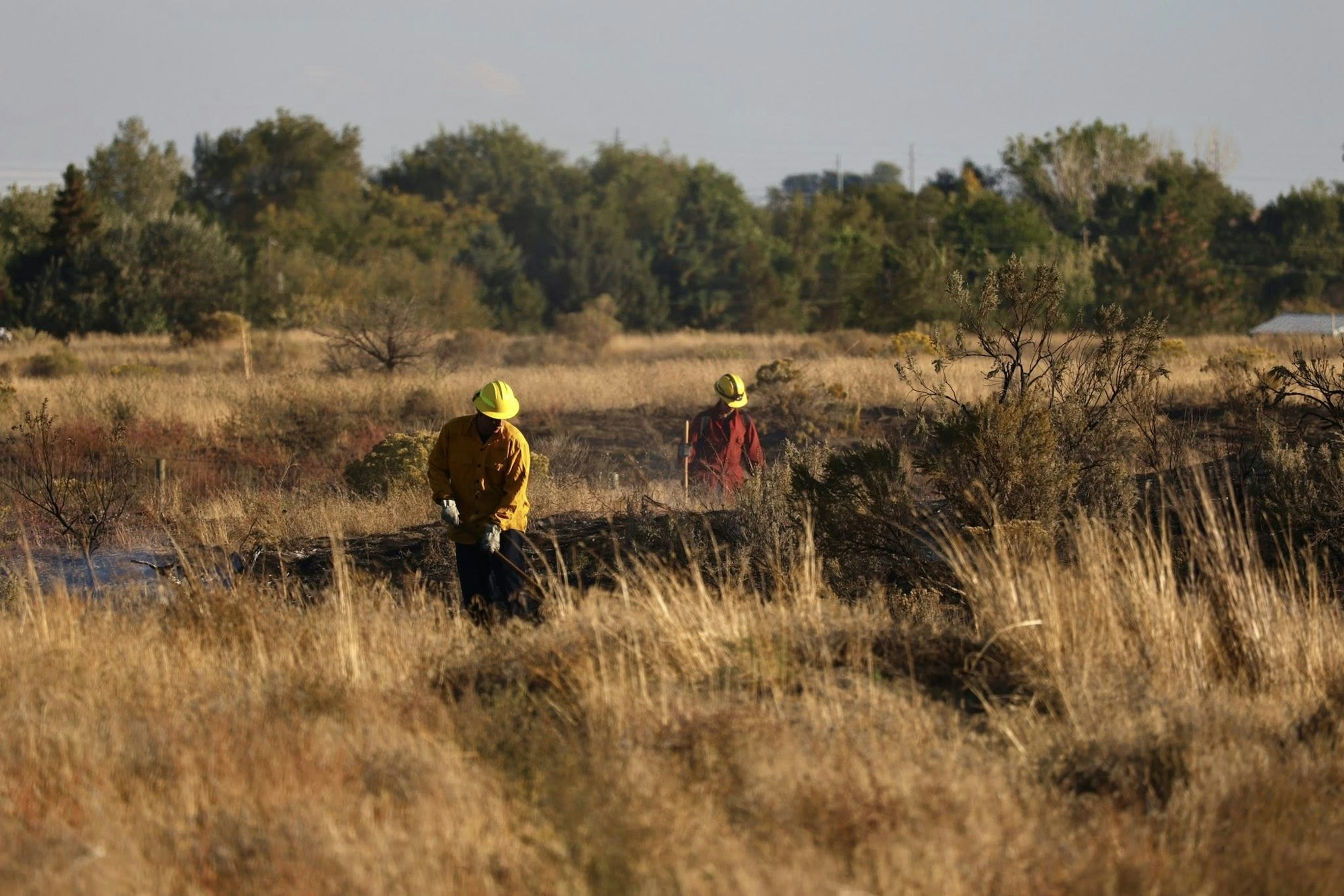 Two people in protective gear working in a grassy field.