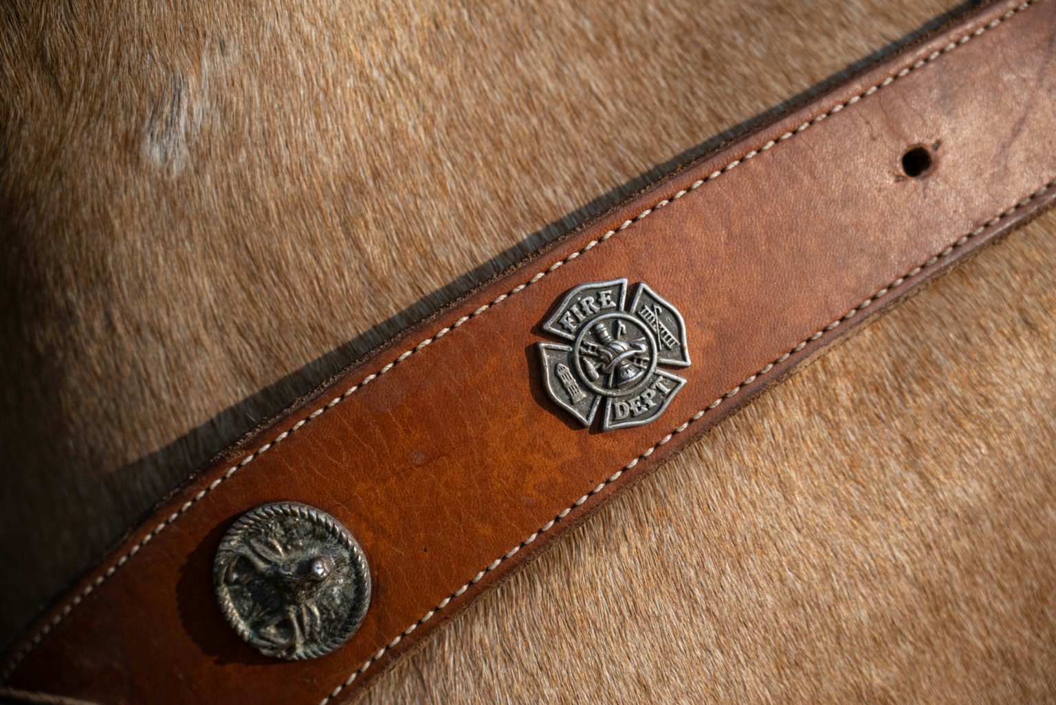 May contain: accessories, strap, and belt