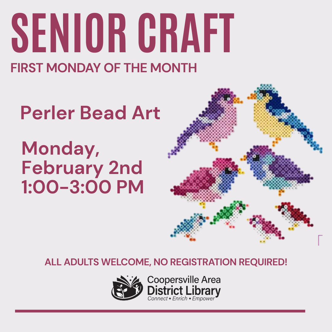 Join the Coopersville Library on February 2nd for a senior craft session making Perler bead art, 1-3 PM. All adults welcome!