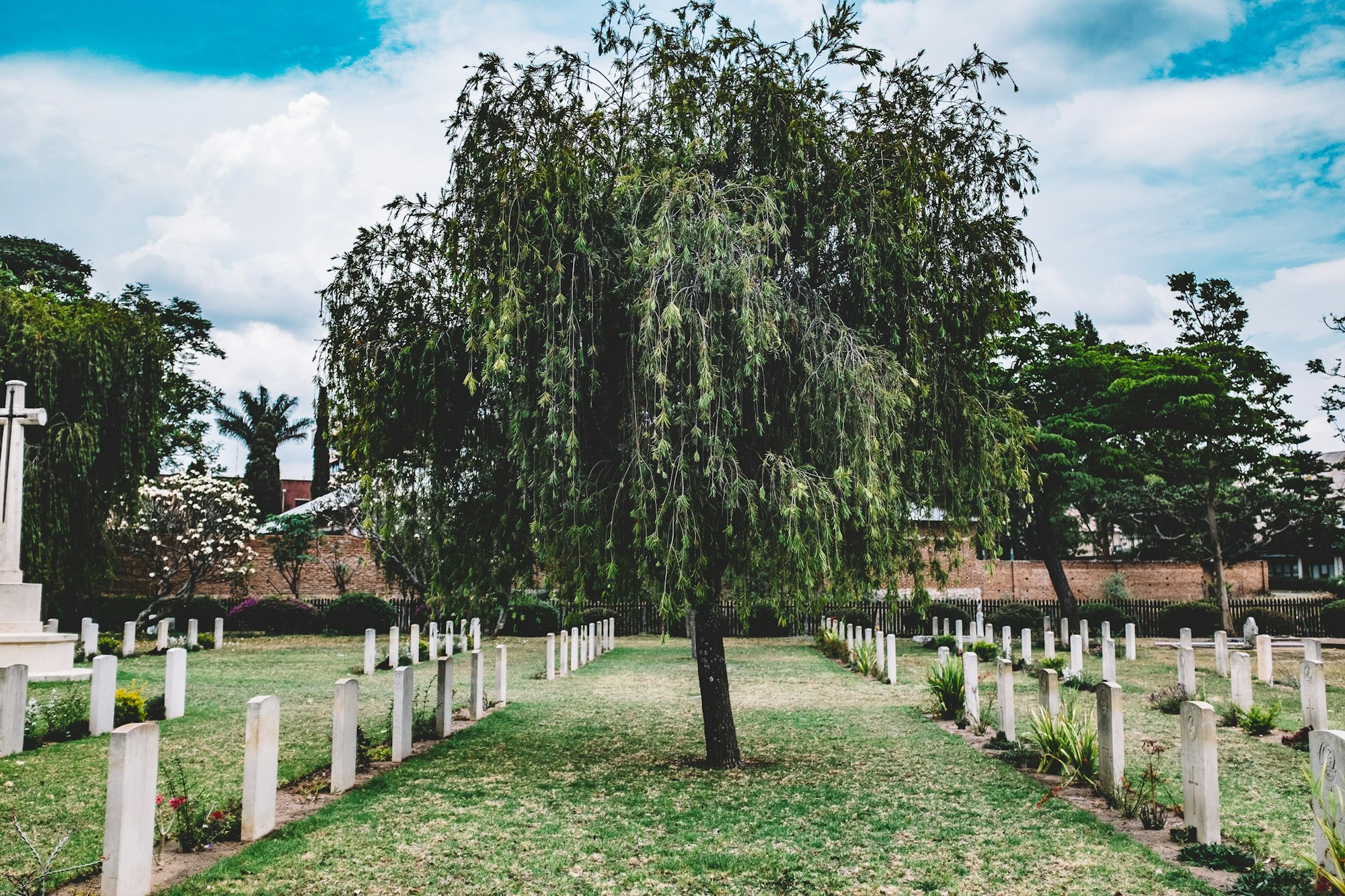 May contain: graveyard, outdoors, tree, and plant