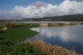 A tranquil lake scene with grassy banks, reeds, and clouds reflecting in the water under a blue sky.