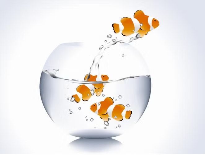 Clownfish jumping out of a fishbowl with others inside, water splashing.