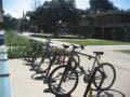 Bicycles parked at a bike rack on a sunny day, with trees and a building in the background.
