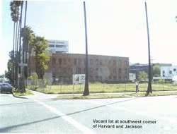 Vacant lot with palm trees at the corner of Harvard and Jackson, near a brick building.