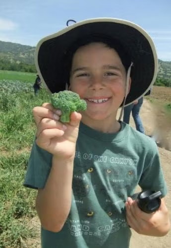 A smiling child holding a piece of broccoli in a field, wearing a wide-brimmed hat and green shirt.