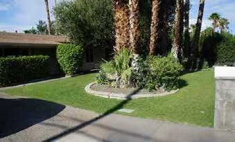 A house with a well-maintained lawn, palm trees, and shrubs in the front yard on a sunny day.