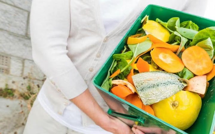 A person holds a green bin filled with vegetable and fruit scraps, likely for composting.