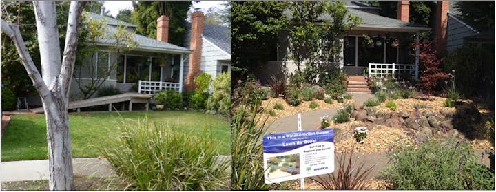 Side-by-side comparison of a traditional lawn vs a drought-tolerant garden with a sign highlighting water conservation.