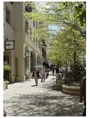 A tree-lined urban sidewalk with people walking, flanked by buildings with shops and awnings on a sunny day.