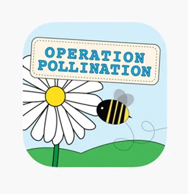 Illustration of a daisy and a bee with the text "Operation Pollination" on top.