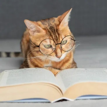 Cat wearing glasses looking at an open book.