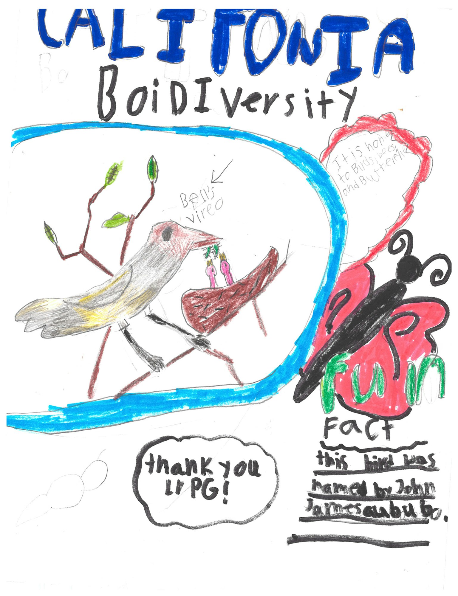 Colorful drawing with text about California biodiversity, featuring birds and a butterfly.