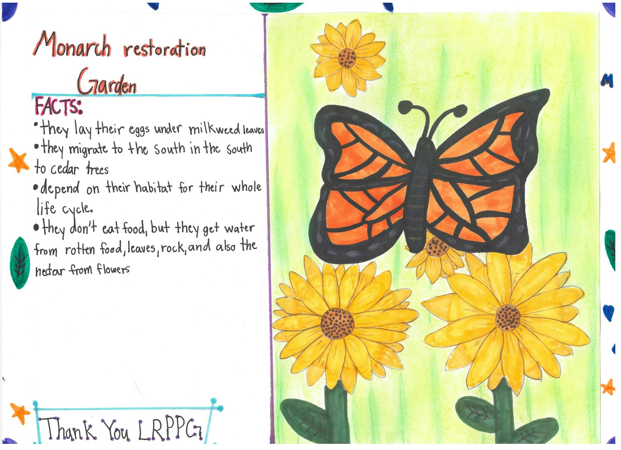 Illustrated facts about monarch butterflies, their migration, habitat, and water sources, with a thank you note and artwork.
