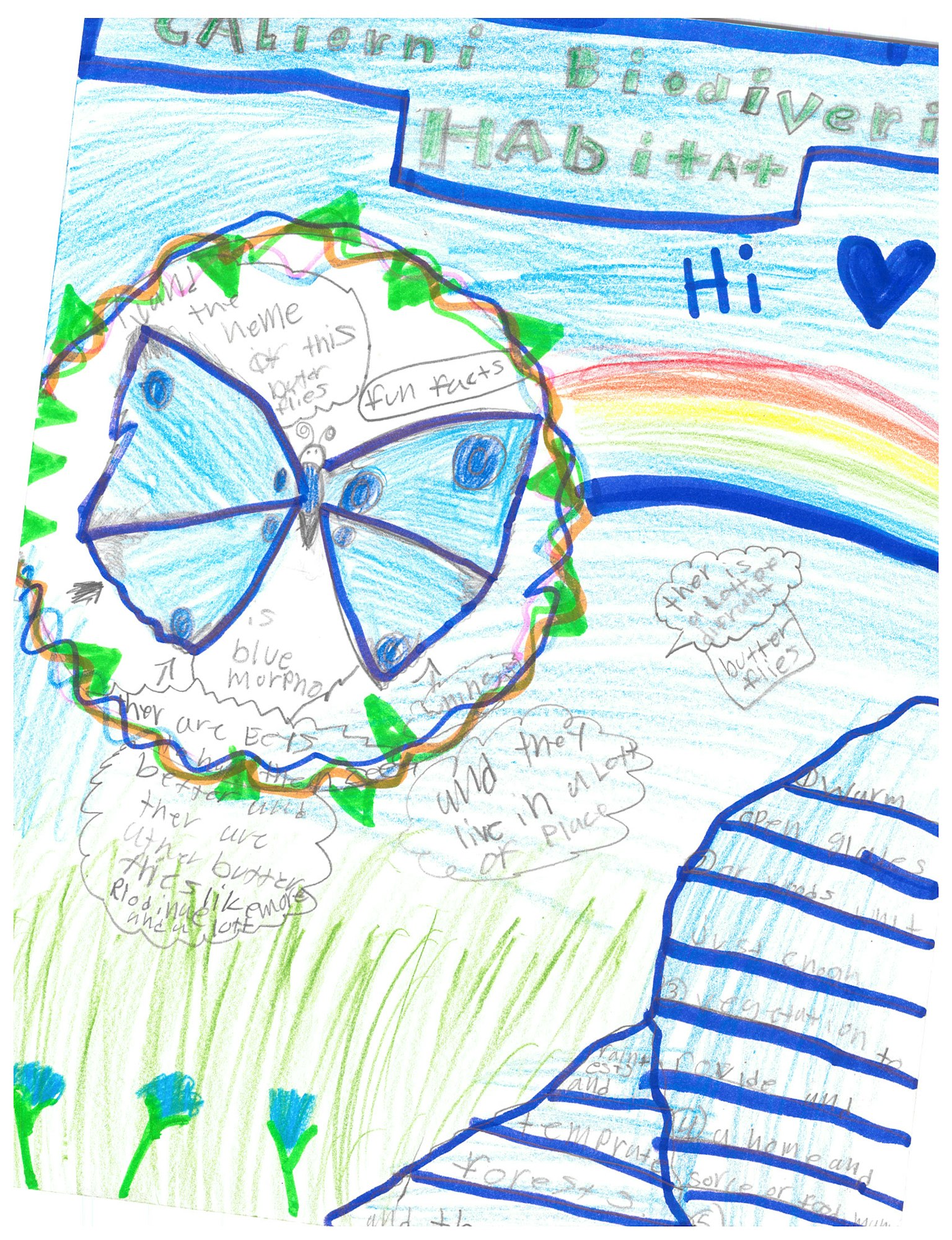 Colorful drawing featuring a blue butterfly, flowers, and various text bubbles with handwritten notes.