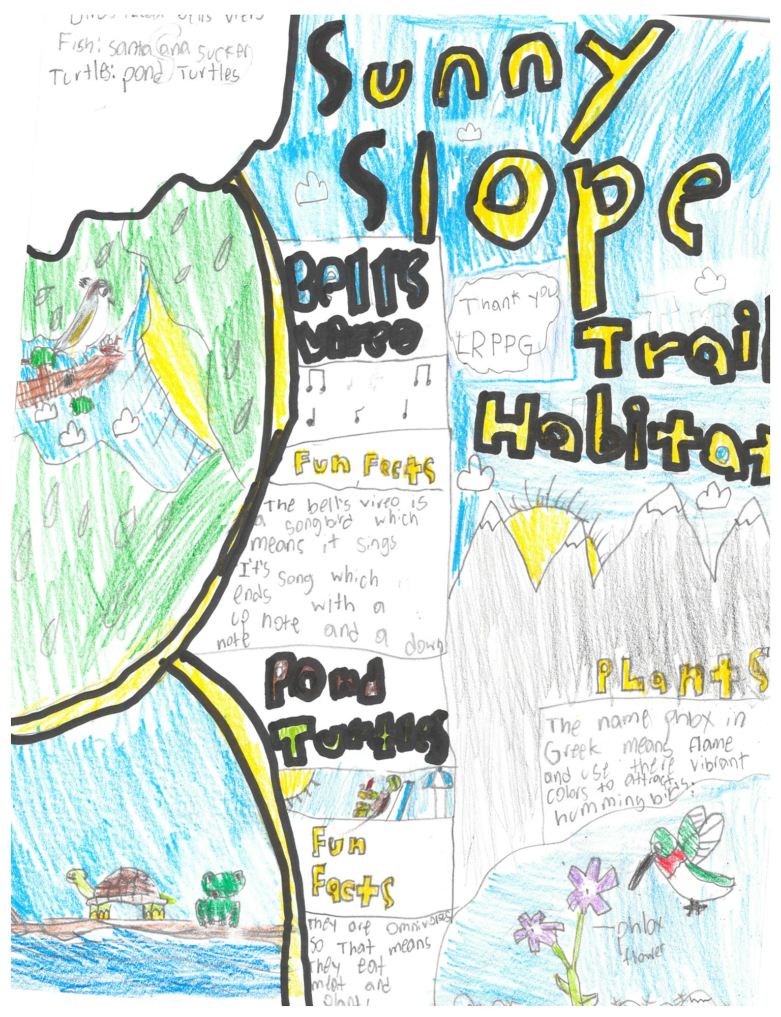 Colorful children's drawing with animals and nature scenes, text includes "Sunny Slope," "Pond," "Facts," and "Plants."